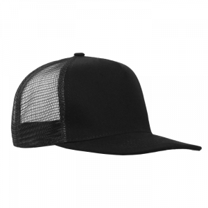 Бейсболка прямой козырёк STAN 5 клиньев хлопок 330,09, Чёрный (20)