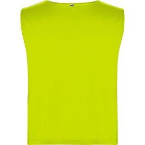 Спортивная безрукавка «Ajax», унисекс