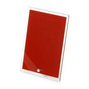 Награда «Frame»