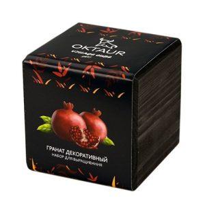 Набор для выращивания «Small village cube «Гранат комнатный»