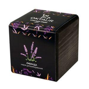 Набор для выращивания «Small village cube «Лаванда»