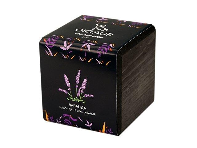 Набор для выращивания «Small village cube «Лаванда» Набор для выращивания «Small village cube «Лаванда»