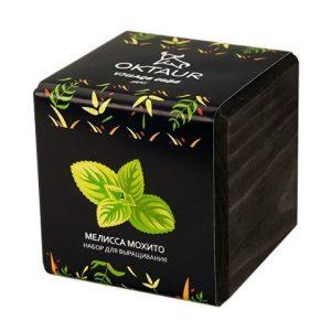 Набор для выращивания «Small village cube «Мелиса Мохито»