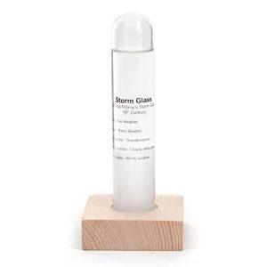 Предсказатель погоды «Storm Glass»