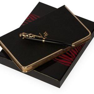 Набор: записная книжка А5, ручка шариковая