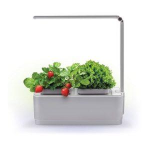 Компактный смарт-сад «iGarden LED» с подсветкой