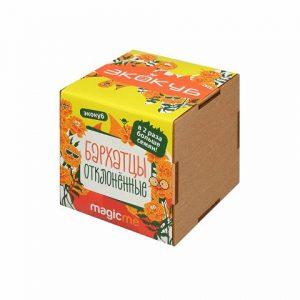 Набор для выращивания «Бархатцы»