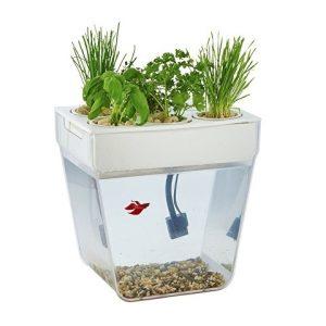 Набор для выращивания растений и ухода за рыбкой «Акваферма»