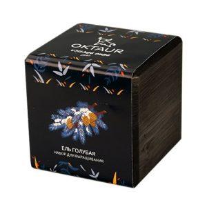 Набор для выращивания «Small village cube «Ель Голубая»