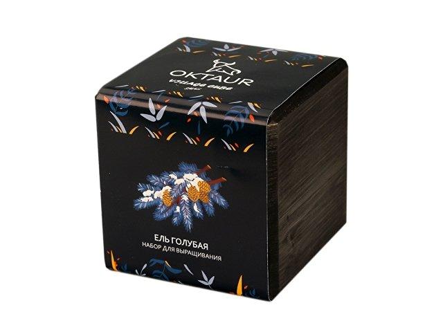 Набор для выращивания «Small village cube «Ель Голубая» Набор для выращивания «Small village cube «Ель Голубая»