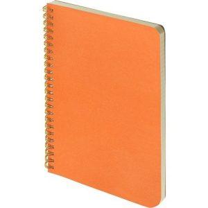 Бизнес тетрадь А5 «Pragmatic»