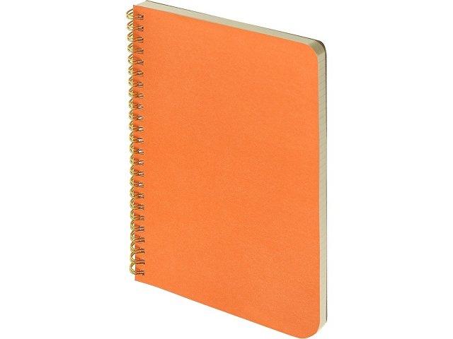 Бизнес тетрадь А5 «Pragmatic» Бизнес тетрадь А5 «Pragmatic»