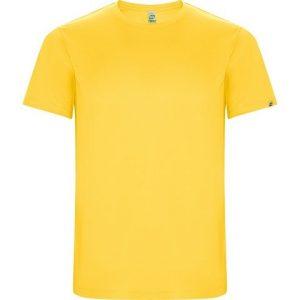 Спортивная футболка «Imola» мужская