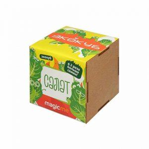 Набор для выращивания «Салат»