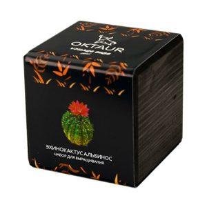 Набор для выращивания «Small village cube «Эхинокактус Альбинос»