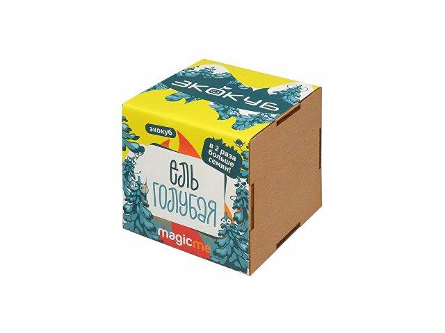 Набор для выращивания «Ель Голубая» Набор для выращивания «Ель Голубая»