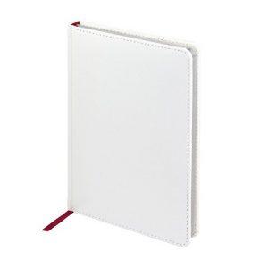 Ежедневник недатированный А5 «Sidney Nebraska» с серебряным срезом