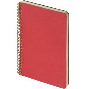 Бизнес тетрадь А5 «Pragmatic»