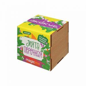 Набор для выращивания «Мята»