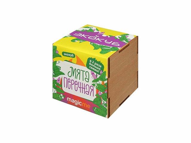 Набор для выращивания «Мята» Набор для выращивания «Мята»