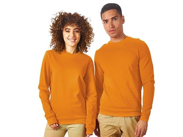 Свитшот «Motion» с начесом, унисекс Свитшот «Motion» с начесом, унисекс