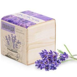 Набор для выращивания «Лаванда»