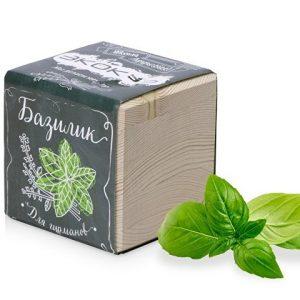 Набор для выращивания «Базилик»