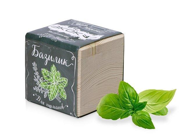 Набор для выращивания «Базилик» Набор для выращивания «Базилик»